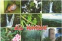 El Yunque National Forest