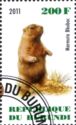 Bobak Marmot (Marmota bobak)