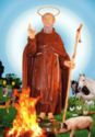 "Anthony the Abbot", Casorate Primo, Lombardy - Saints (M)