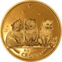 1 Crown (Exotic Shorthair Kittens - Gold edition)