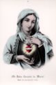 "Saint Mary - Sacred and Immaculate Heart"