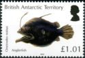 Anglerfish (Oneirodes notius)