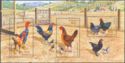 Australian Poultry Breeds