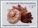 Longspine star Shell (Lithopoma phoebium)
