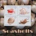 Seashells