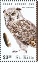Great Horned Owl (Bubo virginianus)