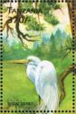 Great Egret (Ardea alba)