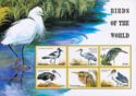 Birds of the world sheet