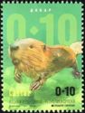 Eurasian Beaver (Castor sp.)