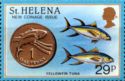 Penny coin and yellow-finned tuna