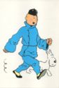 Les aventures de Tintin