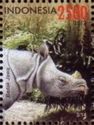 Javan Rhinoceros (Rhinoceros sondaicus)