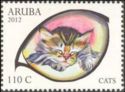 Domestic Cat (Felis silvestris catus)
