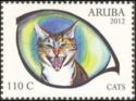 Domestic Cat (Felis silvestris catus)