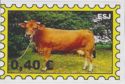 Day of Animal Welfare - Cattle (Bos primigenius taurus)