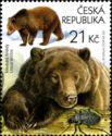 Brown Bear (Ursus arctos)