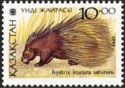 Indian Crested Porcupine (Hystrix leucura saturnini)