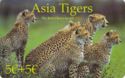 Asia Tigers (5+5)