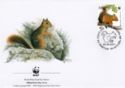 Persian Squirrel (Sciurus persicus)