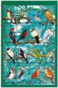 Birds of the World