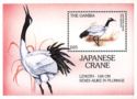 Red-crowned Crane (Grus japonensis)