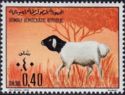 Domestic Sheep (Ovis aries)