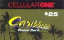 Caribbean - Palm-Trees 25$