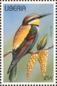 European Bee-eater (Merops apiaster)