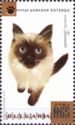 Siamese Cat (Felis silvestris catus)
