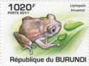 Kisenyi Forest Tree Frog (Leptopelis kivuensis)