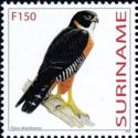 Orange-breasted Falcon (Falco deiroleucus)