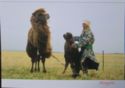 Barga nationality - Camel herdsman