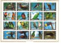 Birds: parrots and finches