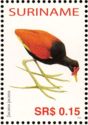Wattled Jacana (Jacana jacana)