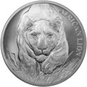 5,000 CFA Francs (African lion)