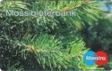 Mossibinterbank. Pine