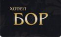 Hotel Bor