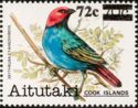 Red-headed Parrotfinch (Erythrura cyaneovirens) - surcharged