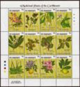 Medicinal Plants