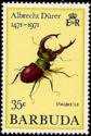 Stagbeetle