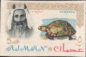 Sheik Rashid and Spur-thighed Tortoise (Testudo graeca)