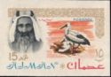 Sheik Rashid and White Stork (Ciconia ciconia)