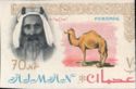 Sheik Rashid and Dromedary (Camelus dromedarius)