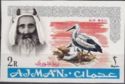Sheik Rashid and White Stork (Ciconia ciconia)