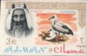 Sheik Rashid and White Stork (Ciconia ciconia)