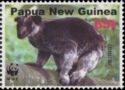 Grizzled Tree Kangaroo (Dendrolagus inustus)
