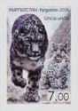 Snow Leopard (Uncia uncia)
