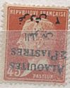 Type Pasteur overprinted and Syrian surcharge