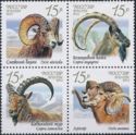 Fauna of Russia - Wild Goats and Rams