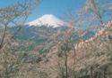 Mount Fuji